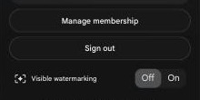 visible watermarking toggle in the google flow account menu